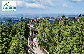 Urlaub im Bayerischen Wald